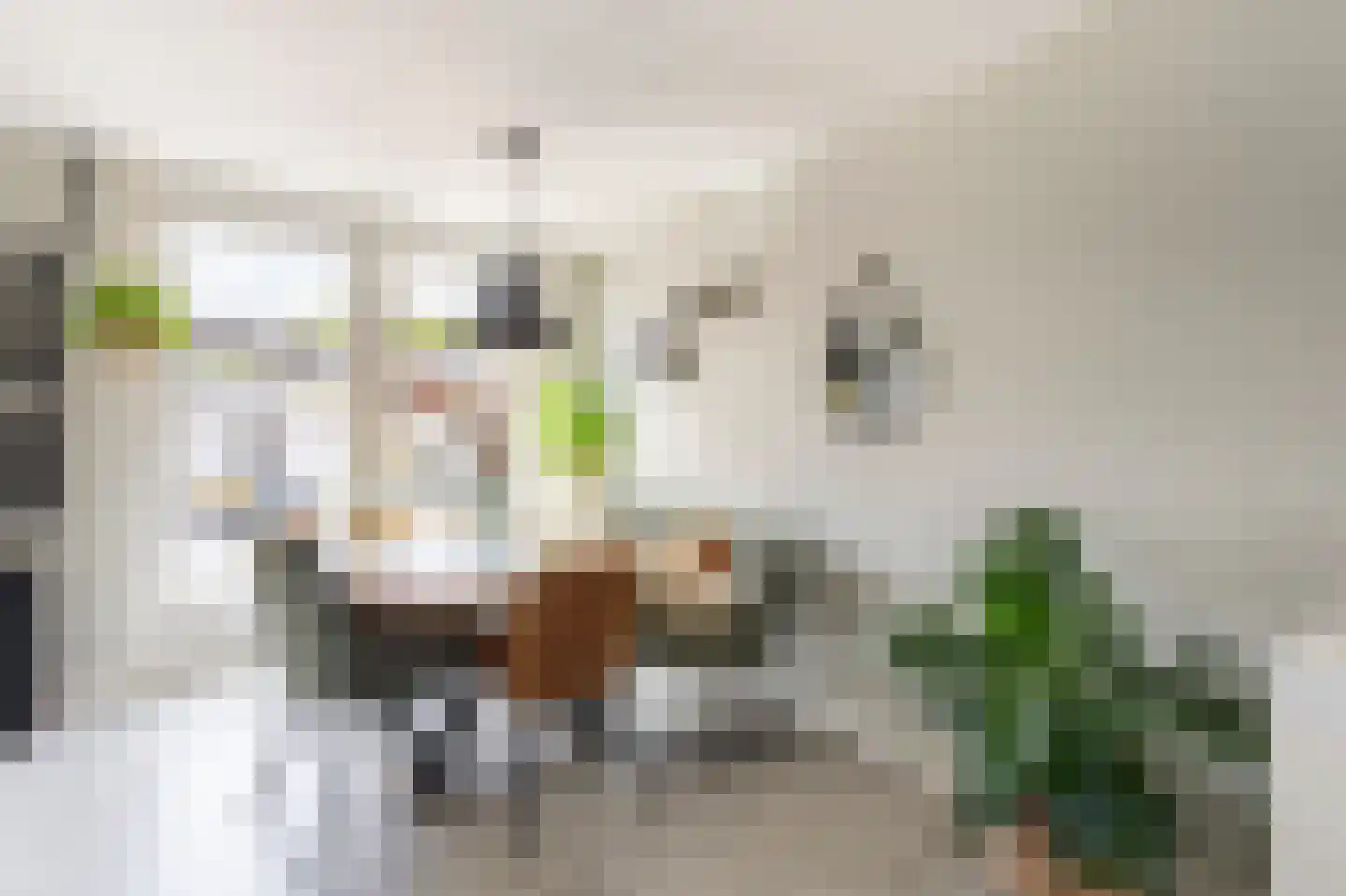 Koetshuis 6 Hardinxveld-Giessendam thumbnail 6