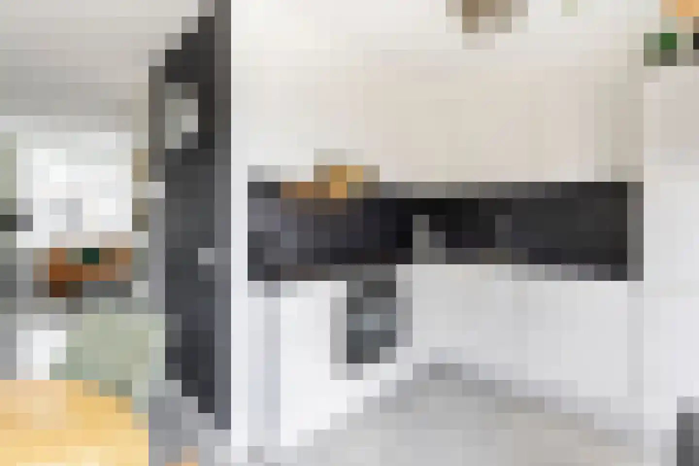 Koetshuis 6 Hardinxveld-Giessendam thumbnail 8