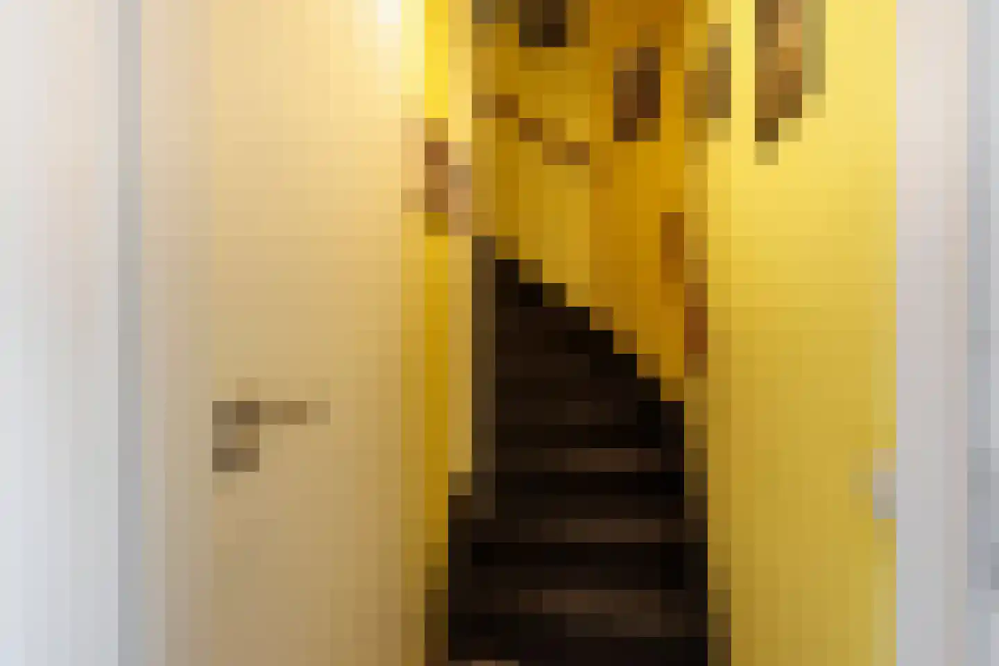 Koetshuis 8 Hardinxveld-Giessendam thumbnail 17