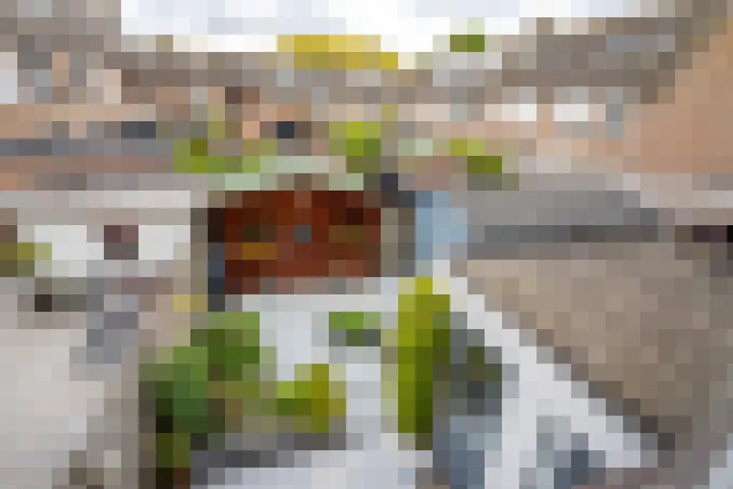 Koetshuis 8 Hardinxveld-Giessendam thumbnail 19