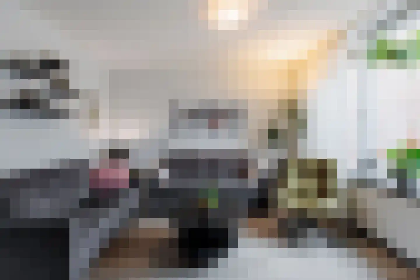 Koetshuis 8 Hardinxveld-Giessendam thumbnail 5