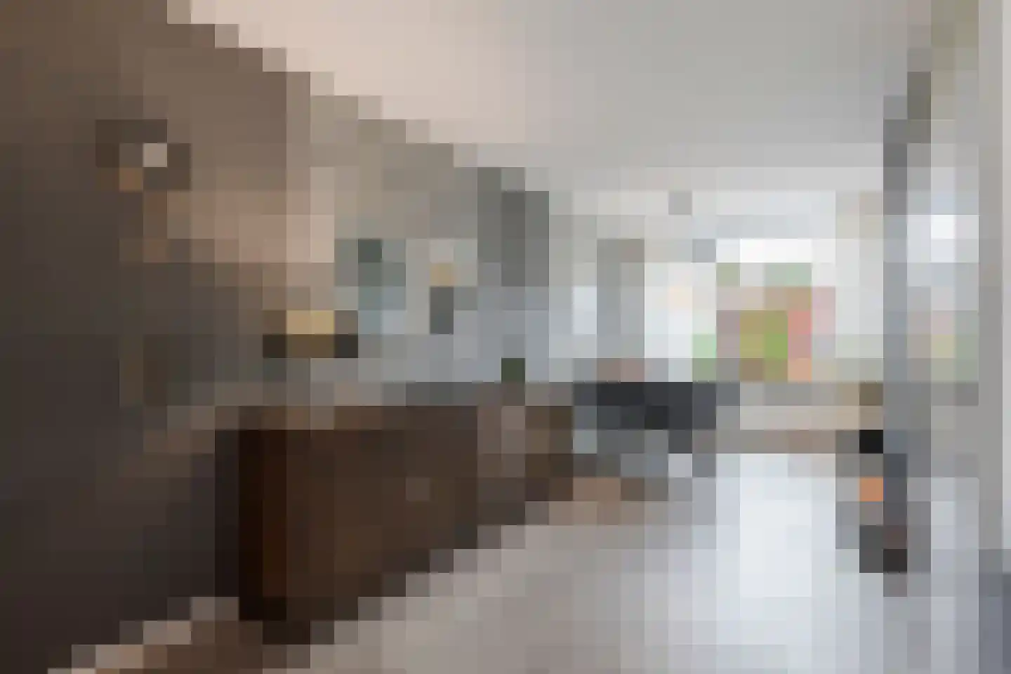 Koetshuis 8 Hardinxveld-Giessendam thumbnail 6