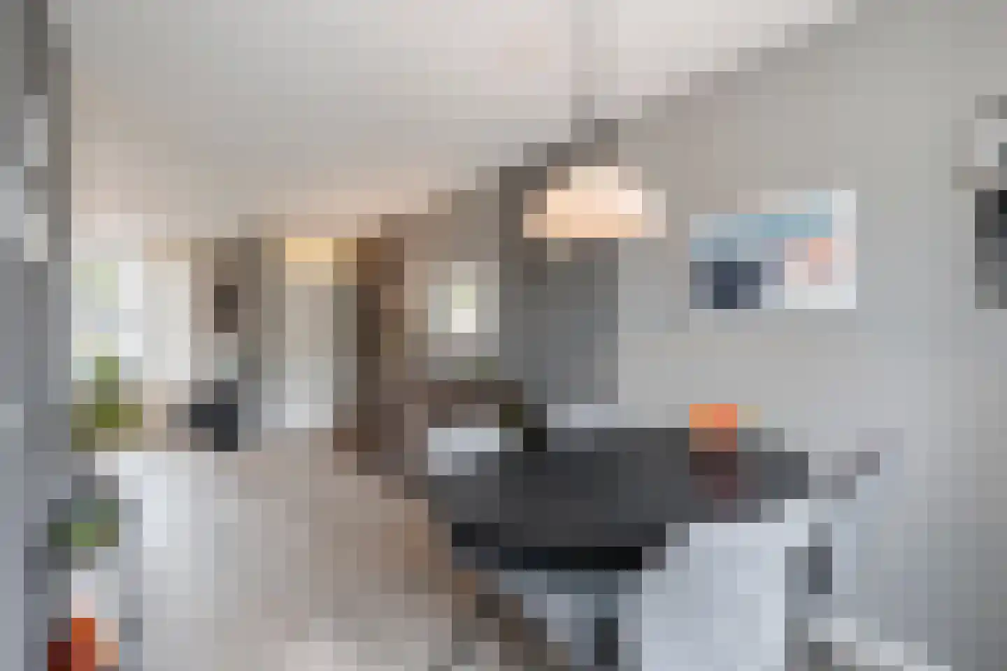 Koetshuis 8 Hardinxveld-Giessendam thumbnail 7