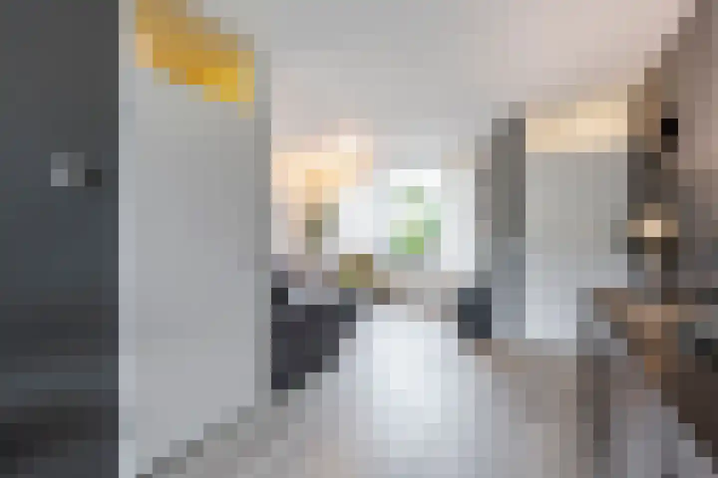 Koetshuis 8 Hardinxveld-Giessendam thumbnail 8