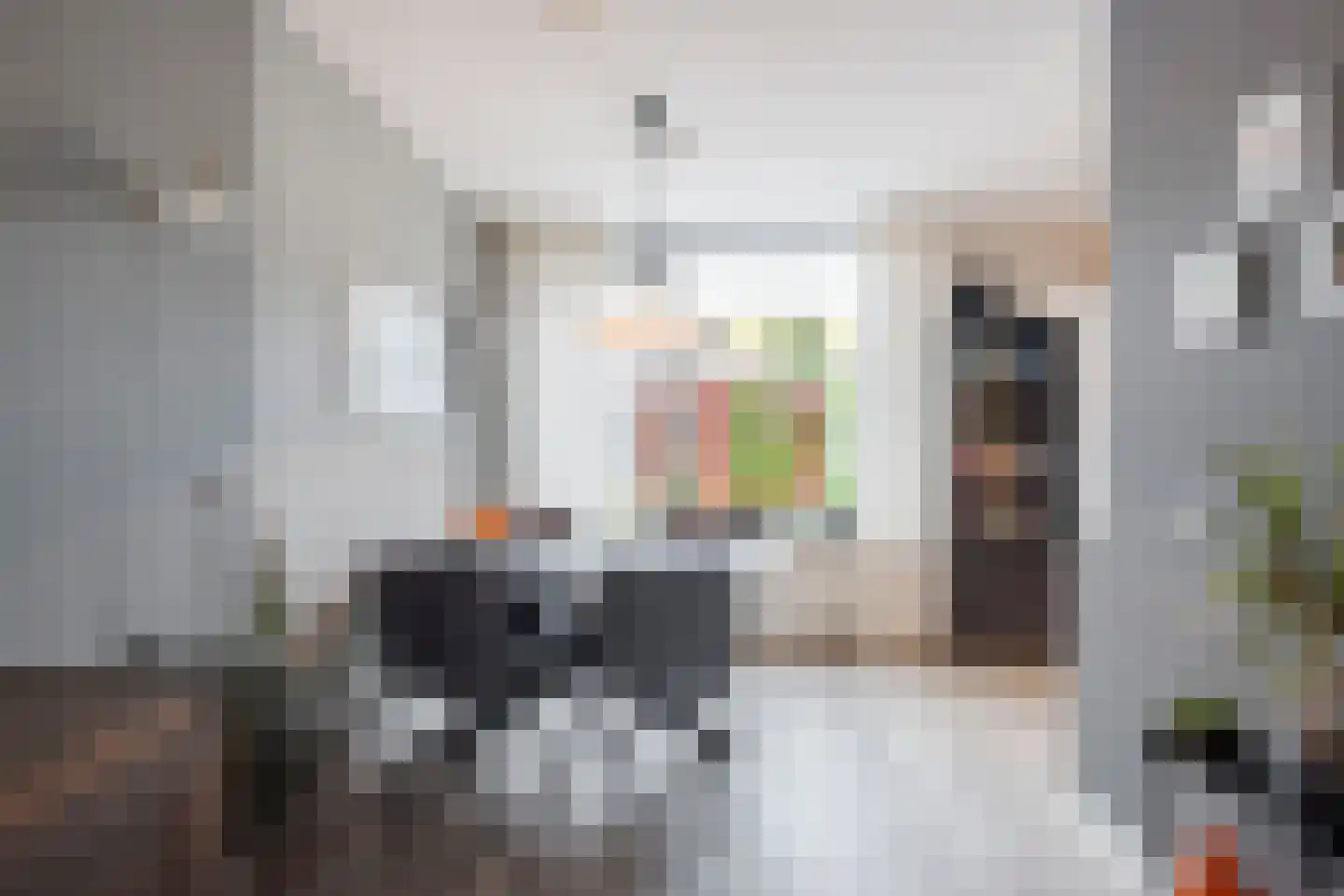 Koetshuis 8 Hardinxveld-Giessendam thumbnail 9