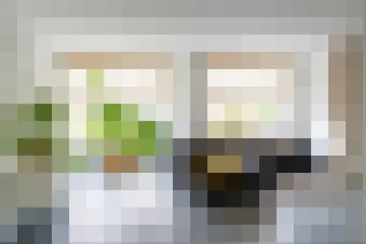 Koetshuislaan 62 Waalwijk thumbnail 11