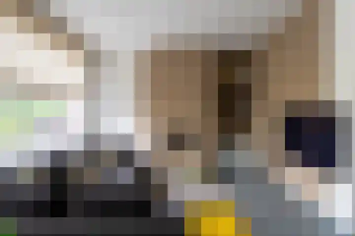 Koetshuislaan 62 Waalwijk thumbnail 12