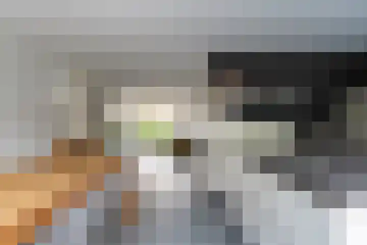 Koetshuislaan 62 Waalwijk thumbnail 15