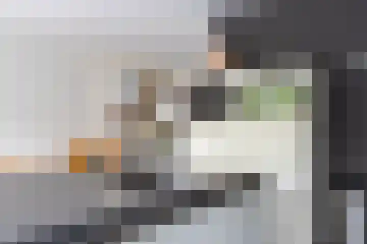 Koetshuislaan 62 Waalwijk thumbnail 19