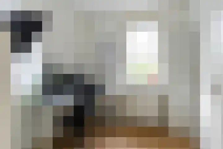 Koetshuislaan 62 Waalwijk thumbnail 21
