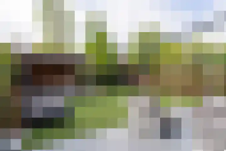 Koetshuislaan 62 Waalwijk thumbnail 28