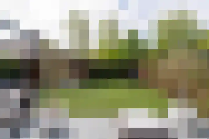 Koetshuislaan 62 Waalwijk thumbnail 29