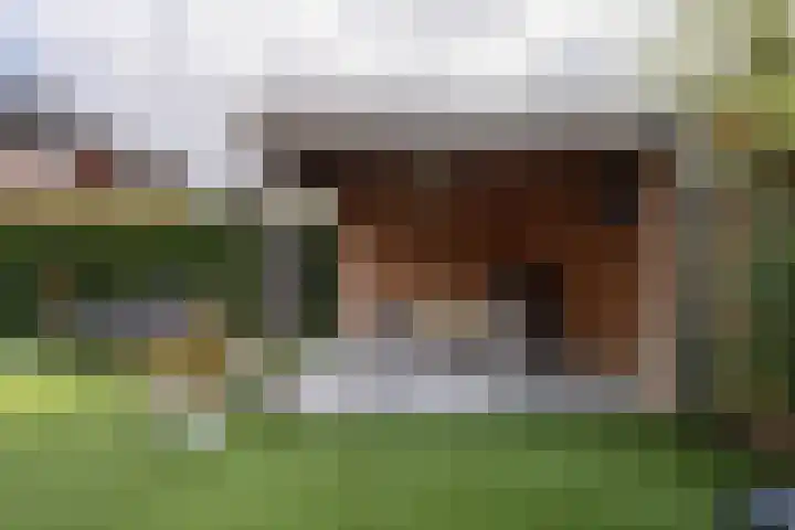 Koetshuislaan 62 Waalwijk thumbnail 30