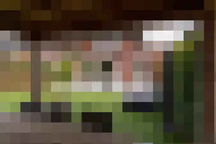 Koetshuislaan 62 Waalwijk thumbnail 31