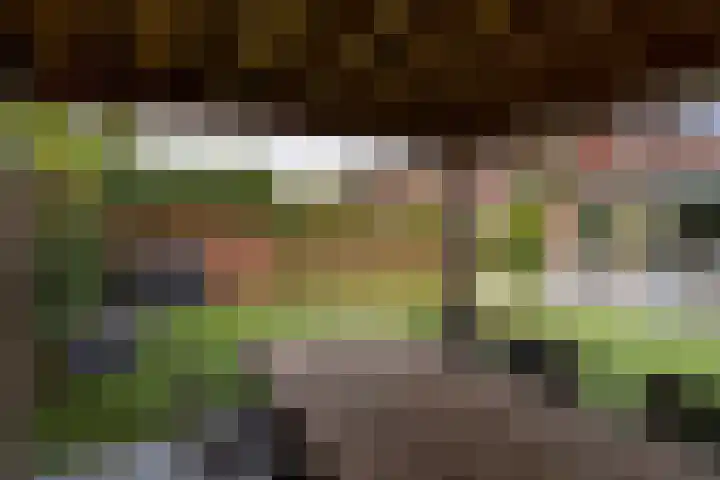 Koetshuislaan 62 Waalwijk thumbnail 32