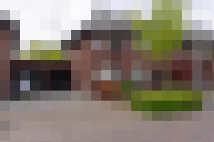Koetshuislaan 62 Waalwijk thumbnail 4