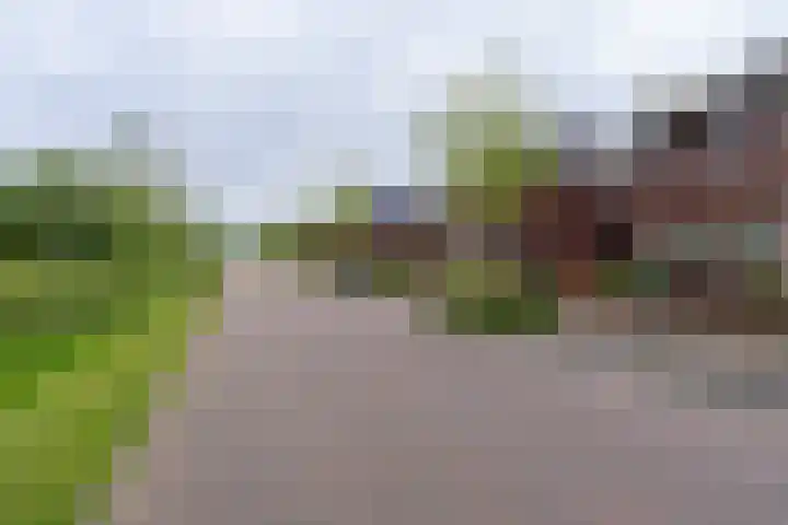 Koetshuislaan 62 Waalwijk thumbnail 5