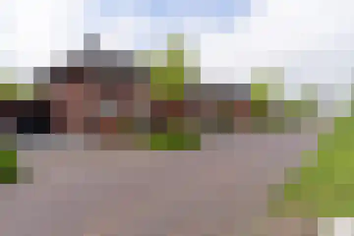 Koetshuislaan 62 Waalwijk thumbnail 6