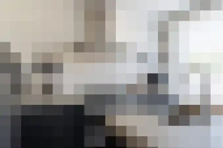Koetshuislaan 68 Waalwijk thumbnail 13
