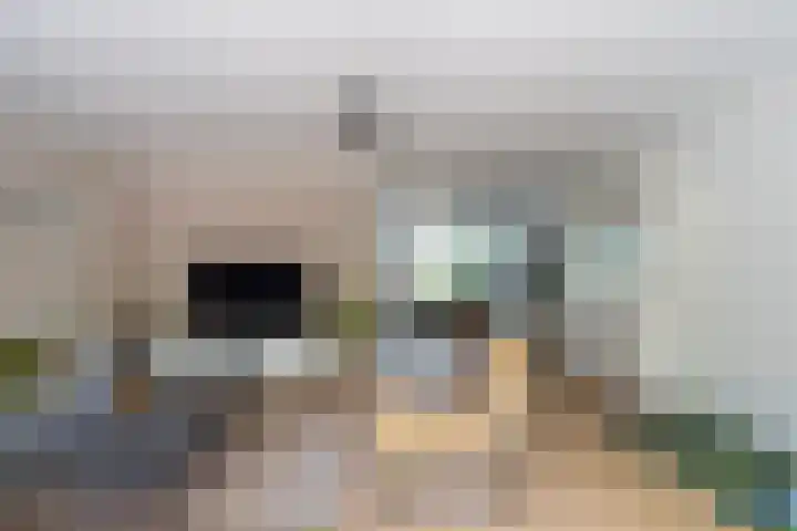 Koetshuislaan 68 Waalwijk thumbnail 17