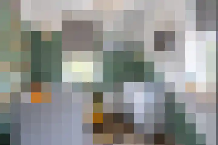 Koetshuislaan 68 Waalwijk thumbnail 25