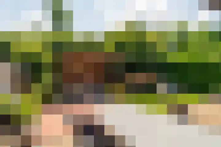 Koetshuislaan 68 Waalwijk thumbnail 4