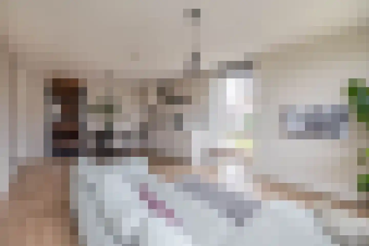 Koetshuislaan 805 Waalwijk thumbnail 4