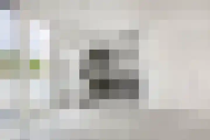 Koetshuislaan 827 Waalwijk thumbnail 16