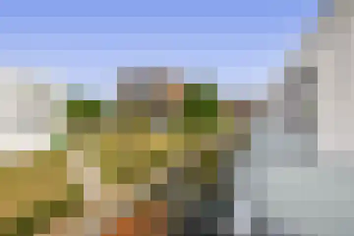 Koetshuislaan 827 Waalwijk thumbnail 20