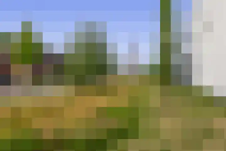 Koetshuislaan 827 Waalwijk thumbnail 24