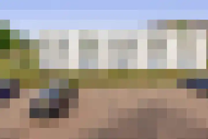 Koetshuislaan 827 Waalwijk thumbnail 25