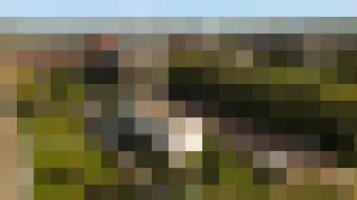 Koetshuislaan 831 Waalwijk thumbnail 33