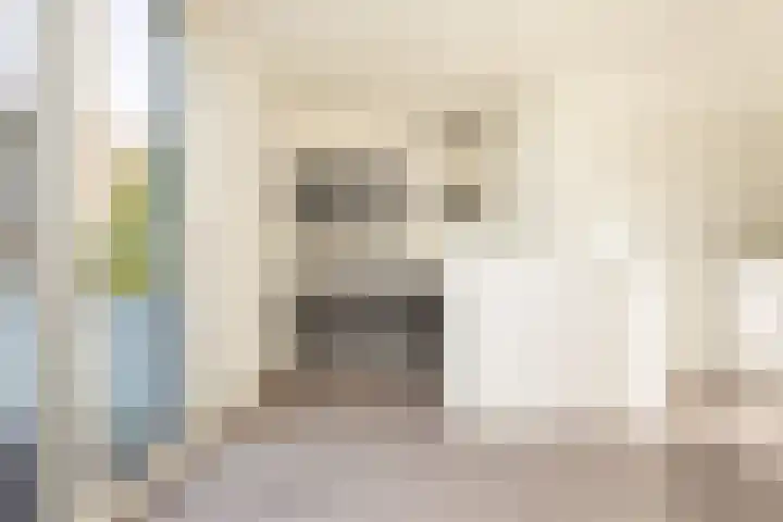 Koetshuislaan 831 Waalwijk thumbnail 4