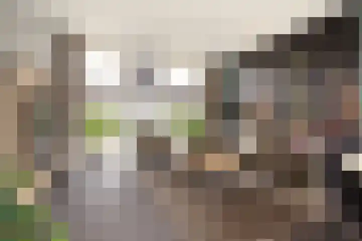 Koetshuislaan 841 Waalwijk thumbnail 12