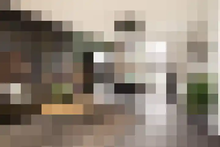 Koetshuislaan 841 Waalwijk thumbnail 13