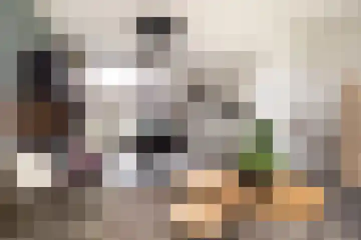 Koetshuislaan 841 Waalwijk thumbnail 14