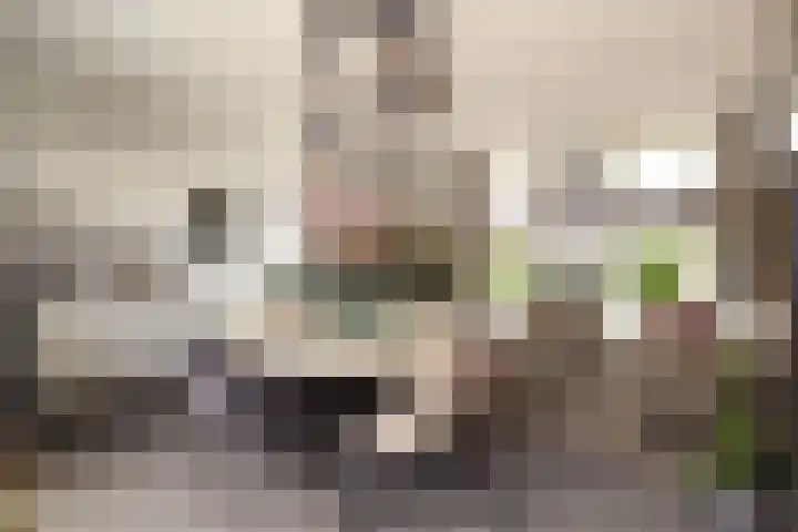 Koetshuislaan 841 Waalwijk thumbnail 15