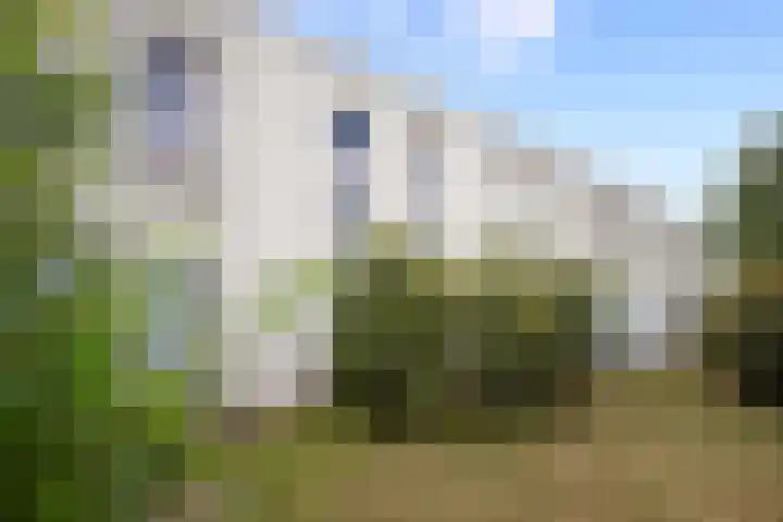 Koetshuislaan 841 Waalwijk thumbnail 18