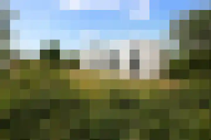 Koetshuislaan 841 Waalwijk thumbnail 6