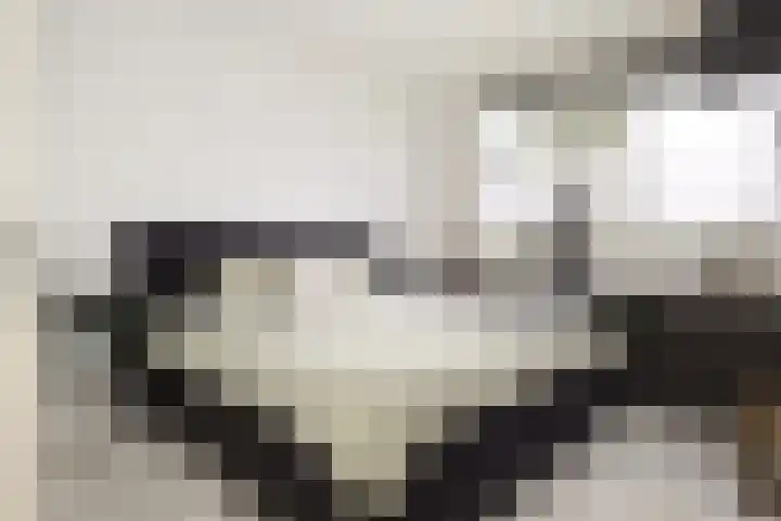 Koetshuislaan 841 Waalwijk thumbnail 9