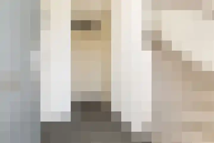 Koetshuislaan 843 Waalwijk thumbnail 13
