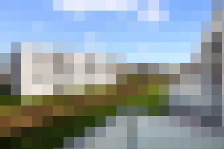 Koetshuislaan 843 Waalwijk thumbnail 21