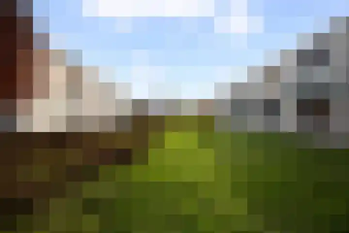 Koetshuislaan 843 Waalwijk thumbnail 23