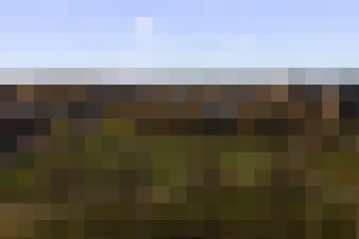 Koetshuislaan 843 Waalwijk thumbnail 27