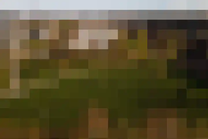 Koetshuislaan 843 Waalwijk thumbnail 4