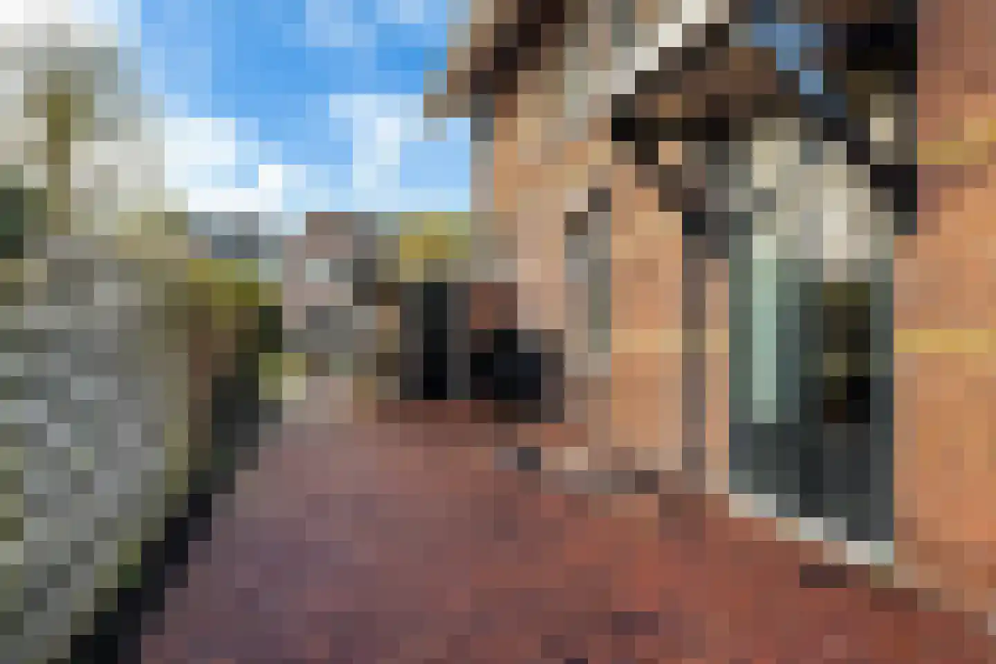 Koetshúsleane 2 Woudsend thumbnail 10