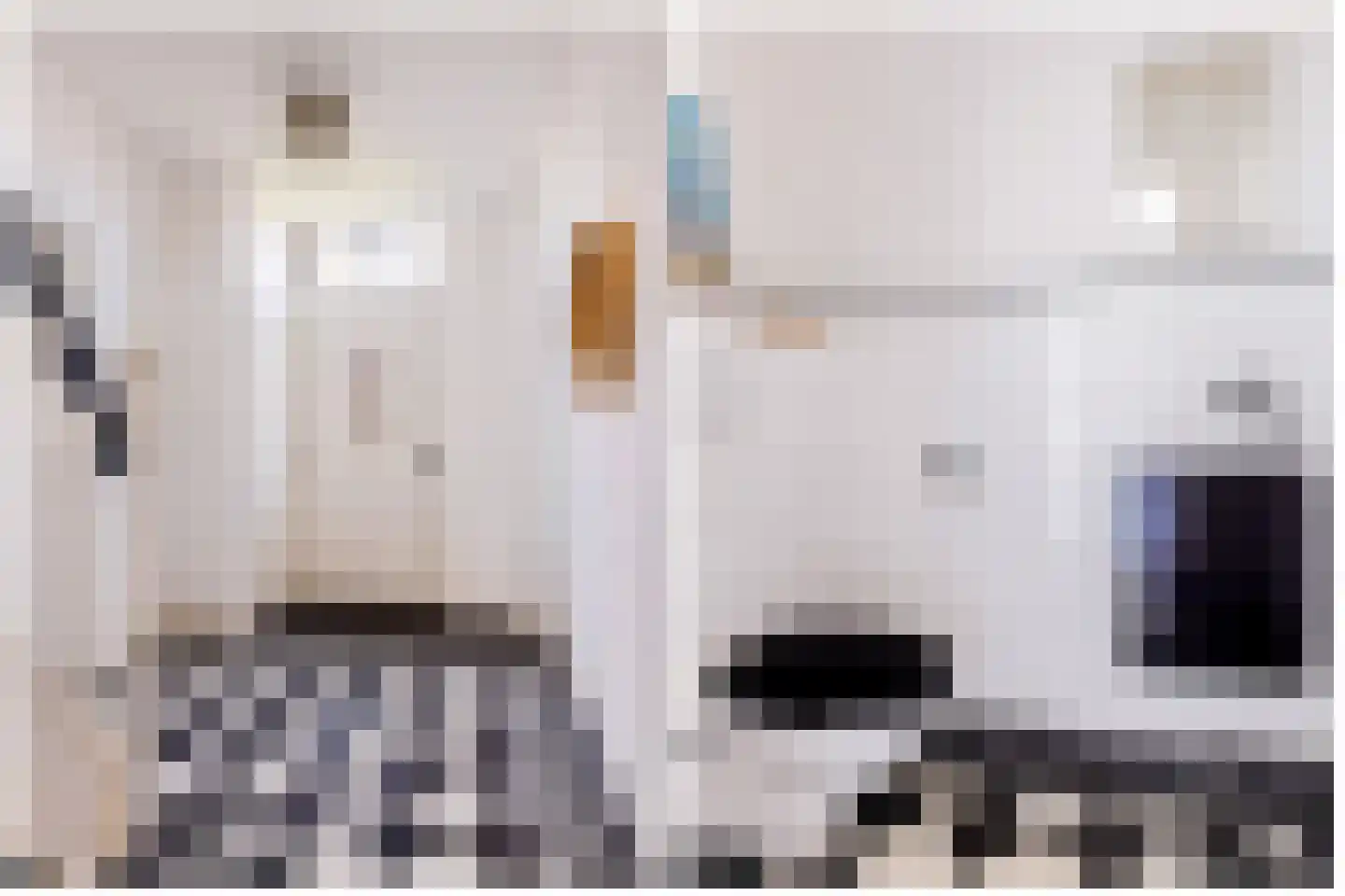 Koetshúsleane 2 Woudsend thumbnail 15