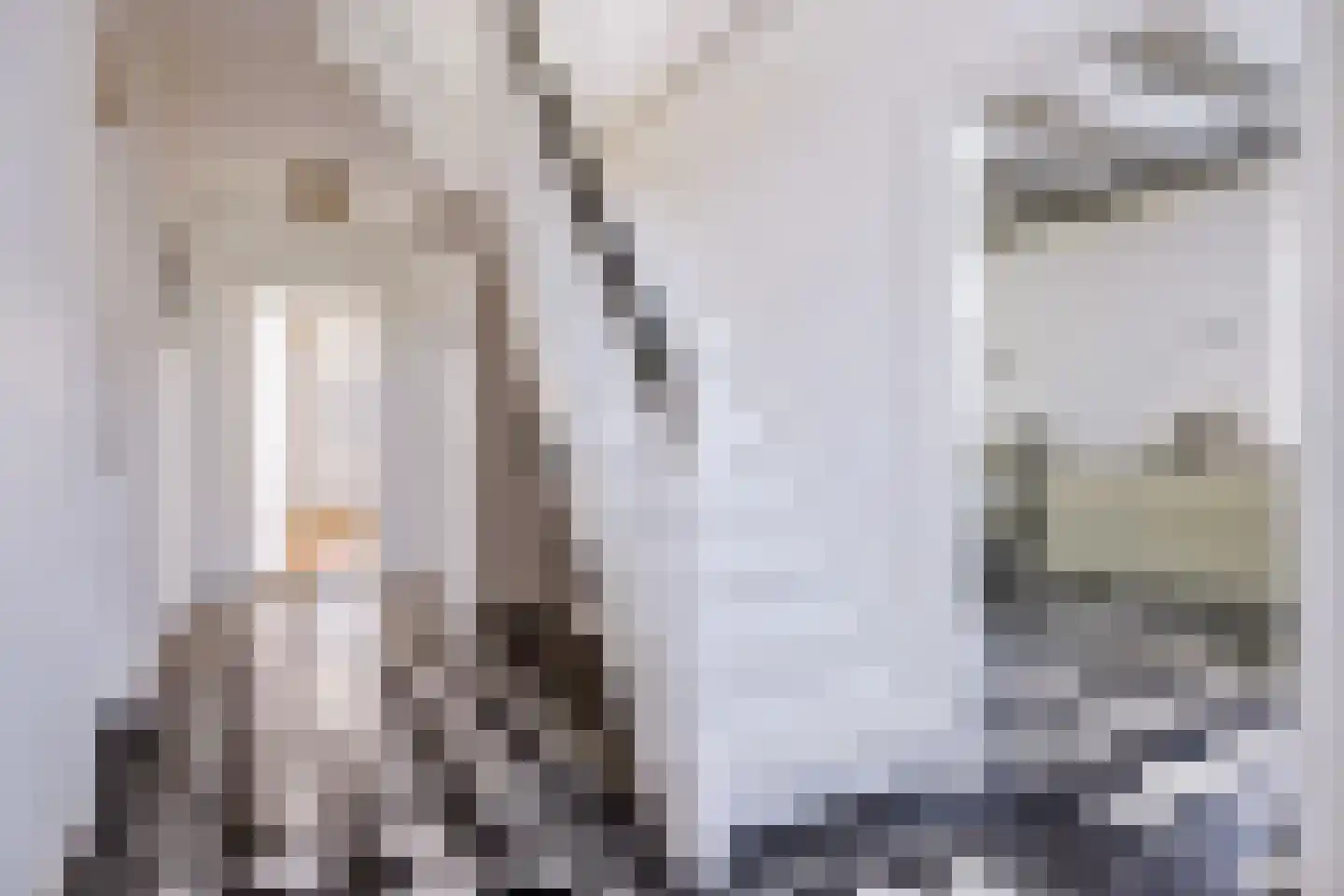 Koetshúsleane 2 Woudsend thumbnail 16