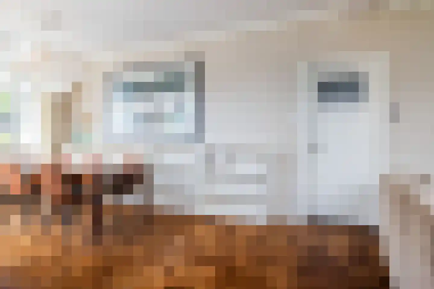 Koetshúsleane 2 Woudsend thumbnail 33