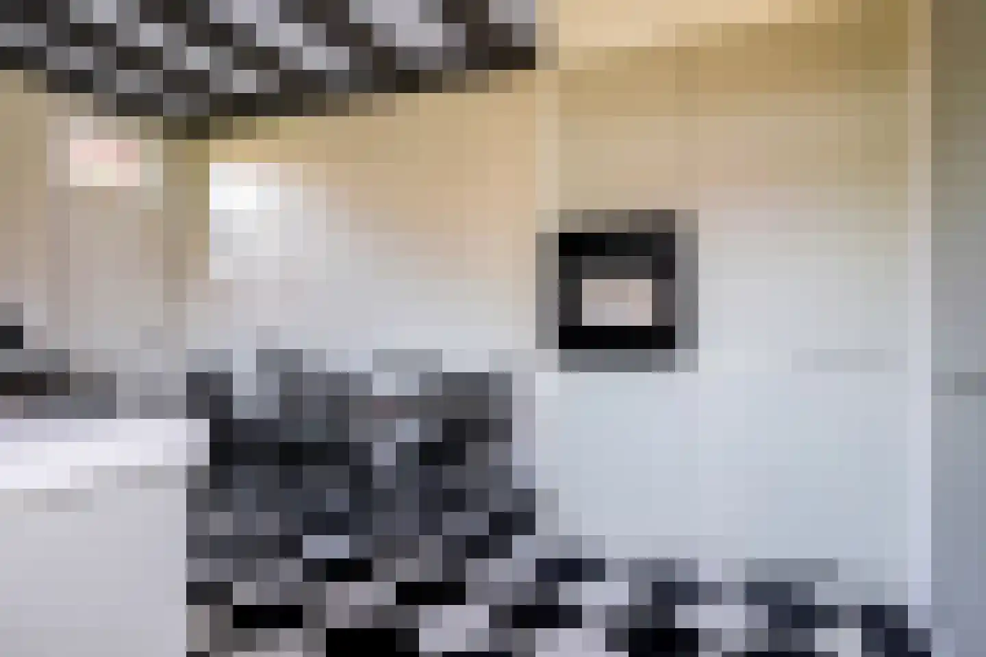 Koetshúsleane 2 Woudsend thumbnail 36